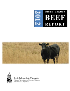 South Dakota Beef Report, 2012