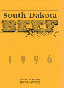 South Dakota Beef Report, 1996