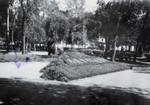 Park in Harbin, China in 1924 by South Dakota State University
