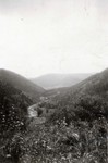 Scenery in the Da Hinggan mountain range in northern China in 1924 by South Dakota State University
