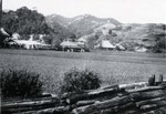 Field and village by the Inland Sea in Japan in 1924 by South Dakota State University