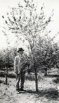 N.E. Hansen standing by a fruit tree at South Dakota State College, undated by South Dakota State University