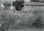 Professor N.E Hansen on the horticulture grounds at South Dakota State College, undated by South Dakota State University