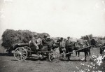 N.E. Hansen on the hardy alfalfa trail among the Kirghiz Tartars in Semipalatinsk, Siberia in 1913 by South Dakota State University