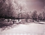 Winter scene at South Dakota State College, 1959