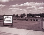Horticultural Gardens at South Dakota State College, 1962