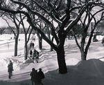 Winter sidewalk at South Dakota State University, 1968