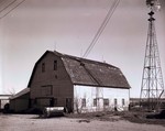 East Farm barn at South Dakota State College, 1949