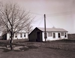 Chicken houses at South Dakota State College, 1949