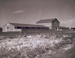 Swine unit at South Dakota State College, 1952