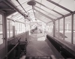 Plant Pathology greenhouses at South Dakota State College, 1955 by South Dakota State University