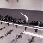 Woman Diver, SDSU Swim Team, 1973 by South Dakota State University