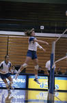 South Dakota State University 1996 Jackrabbits volleyball team in a game against Augustana by South Dakota State University