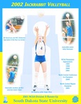 2002 Jackrabbit Volleyball